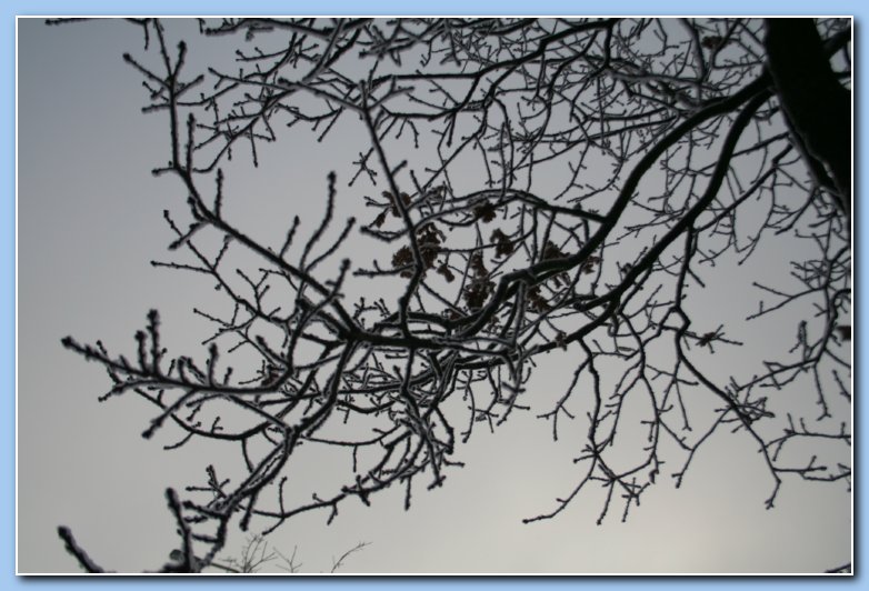 Arnhem Snow 024
